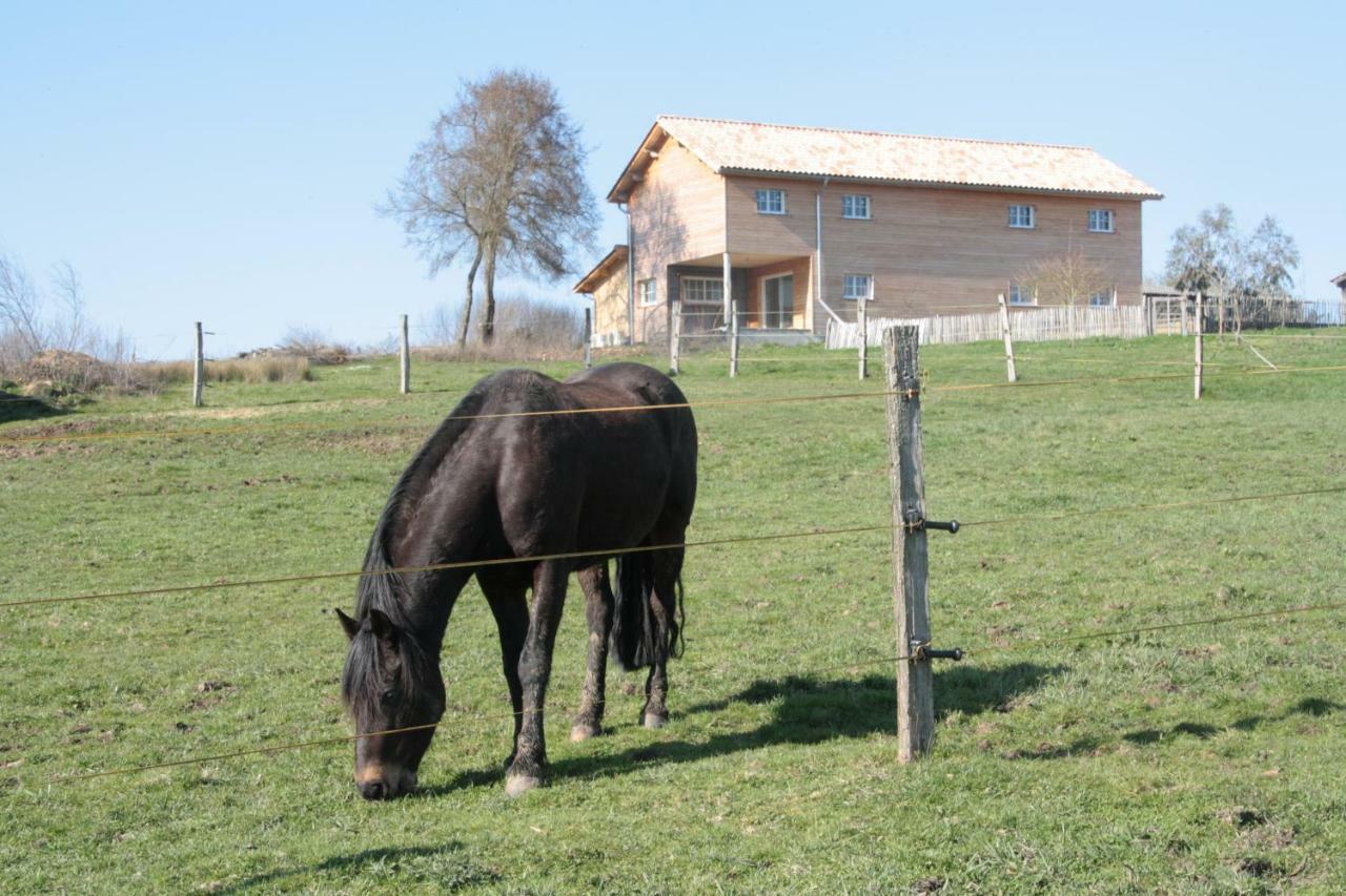Le Petit Durbec Vila La Force  Exterior foto